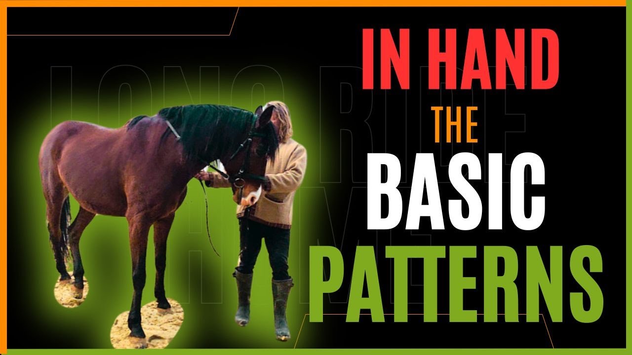 Dressage Is Only 2 Easy Patterns!