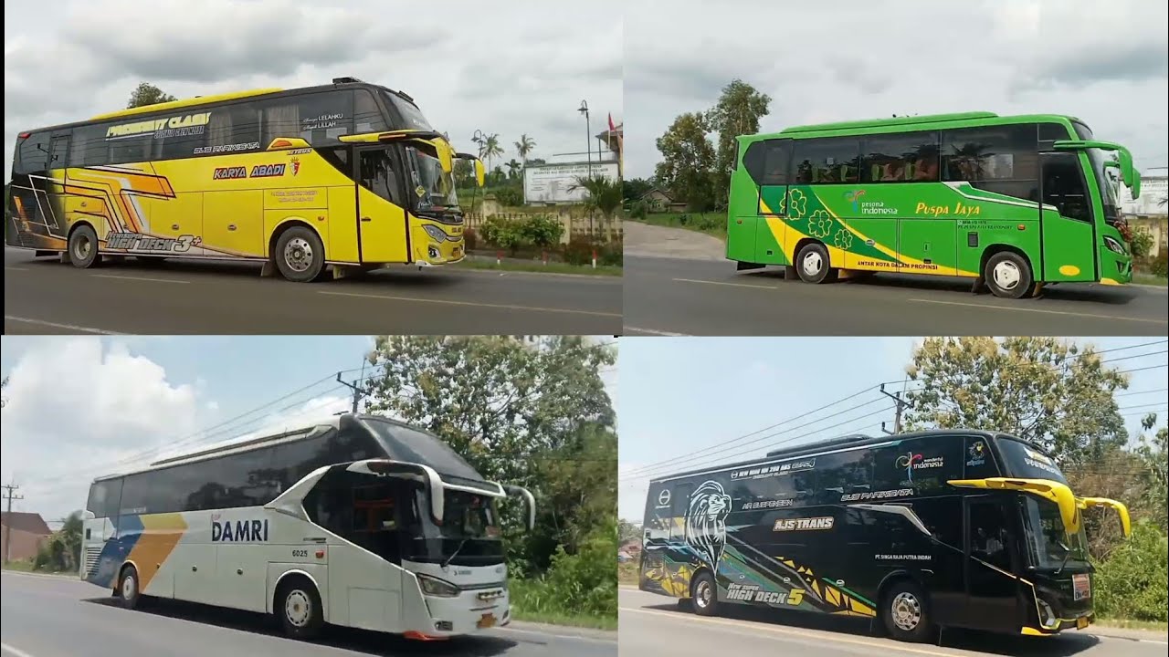 BUS KARYA ABADI, BUS PUSPA JAYA,BUS DAMRI, BUS AJS TRANS, BUS SINGA RAJA PUTRA, BUS PT GGP