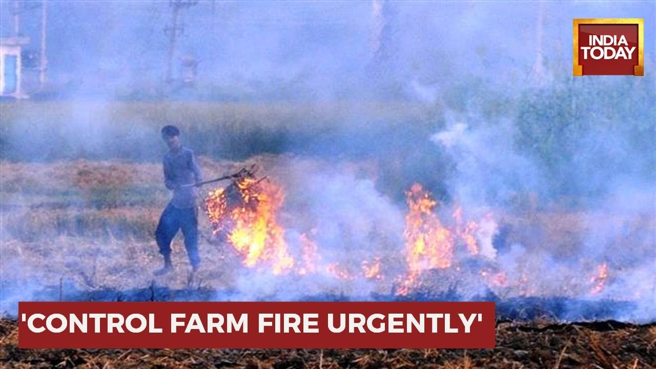 Delhi LG Writes To Punjab CM Bhagwant Mann On Farm Fire, Need Urgent Action On Increasing Farm Fire