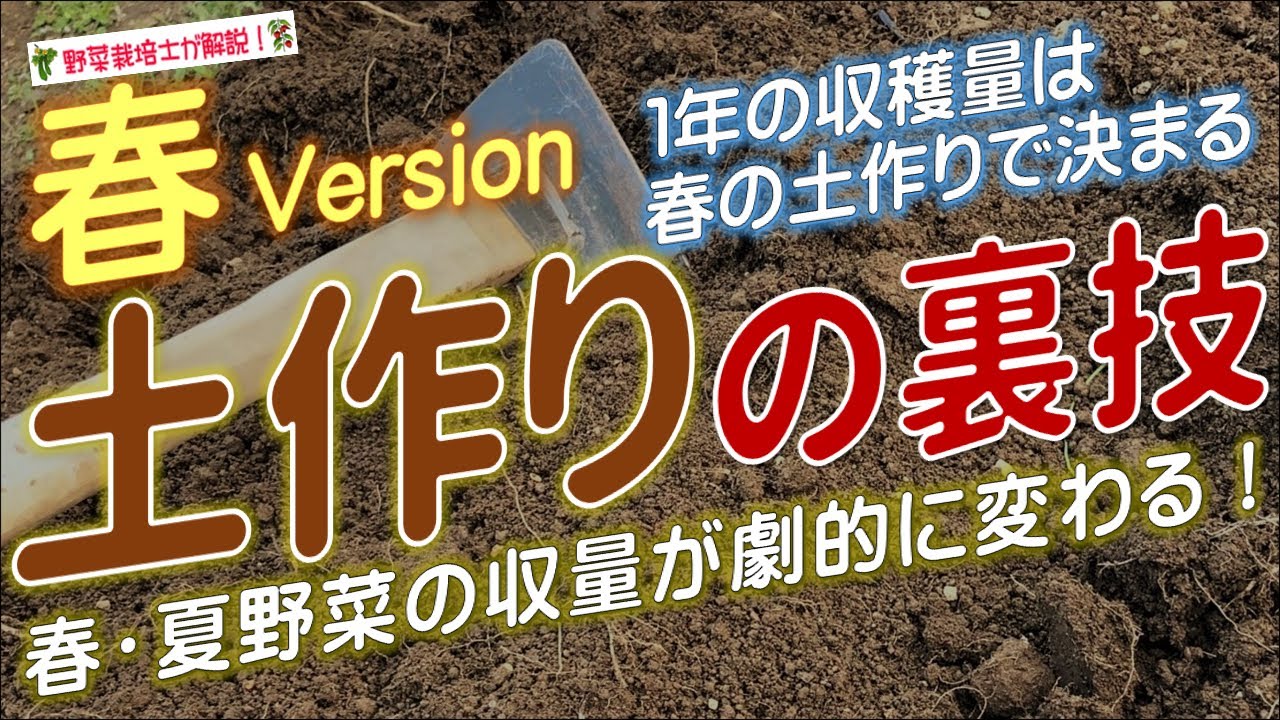 夏野菜の土作り（春の畑作りの基本と夏野菜向けの土作りのやり方）驚くほどよく育つ土作りの裏技！