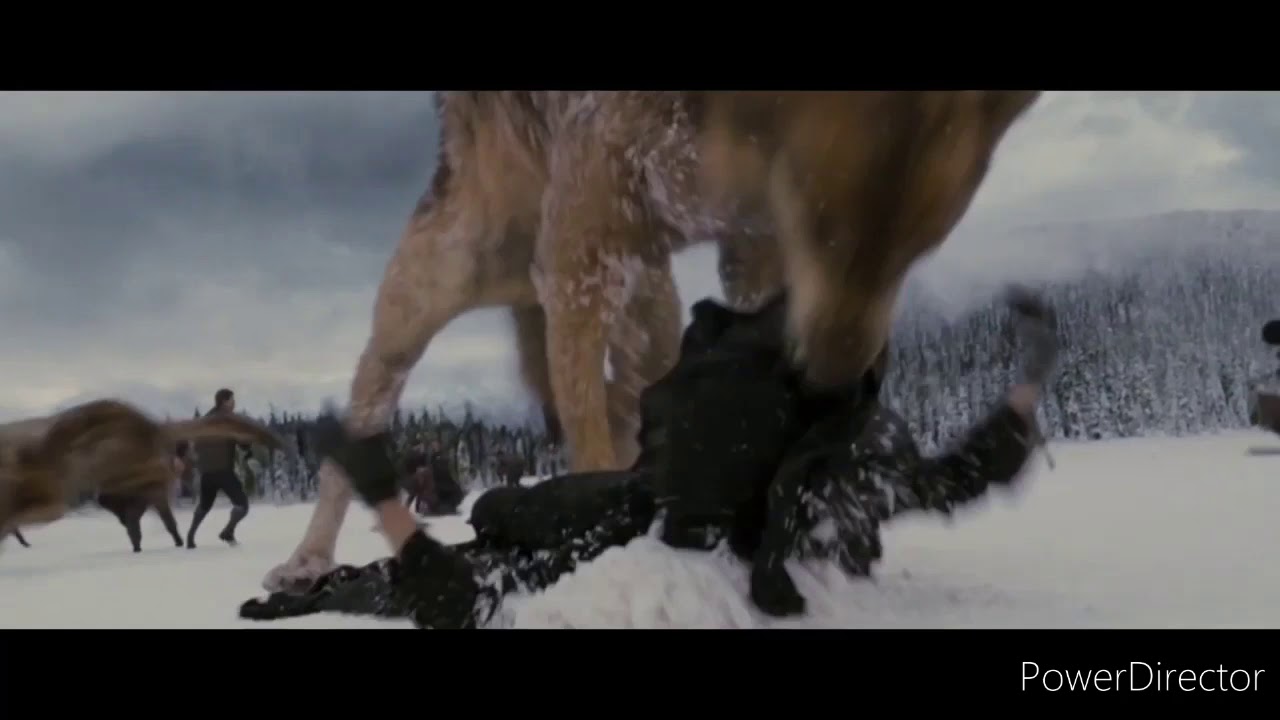 \\Twiling Wolves// Without Me\\