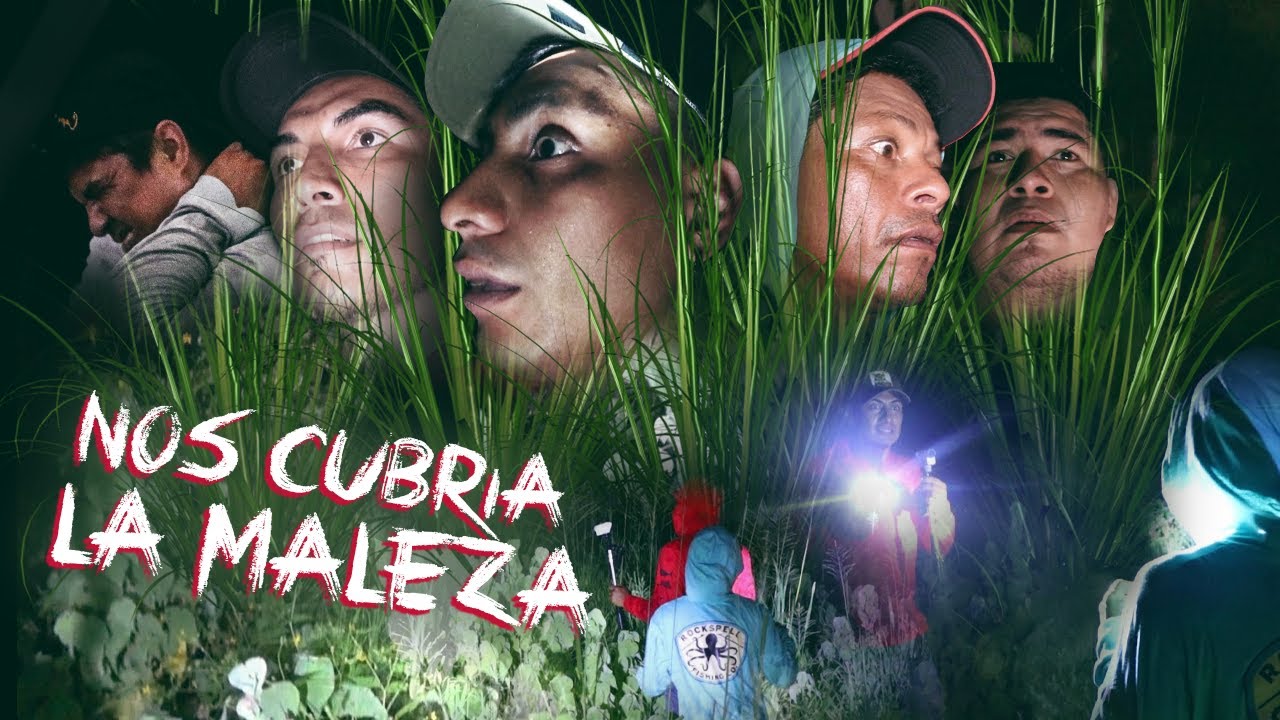 Nunca Los Había Visto Tan Asustados