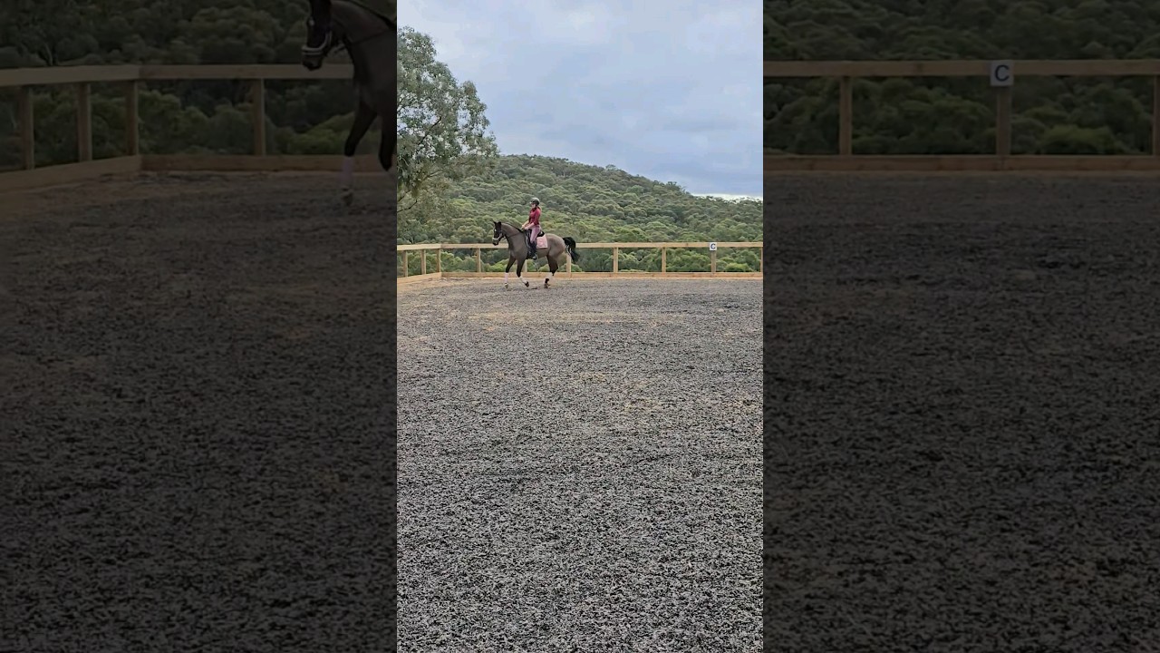 DIY horse arena