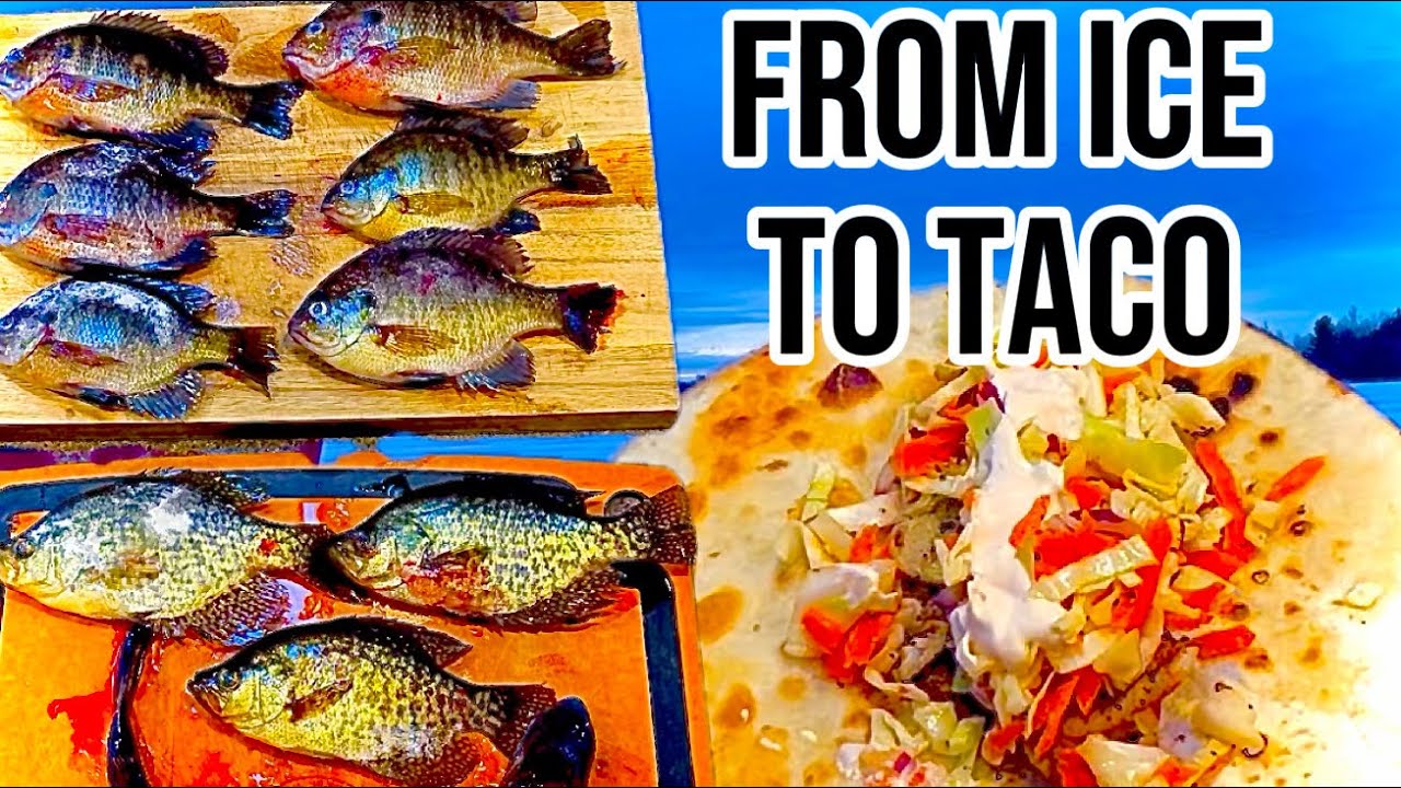 We Made Fish Tacos With Freshly Caught Fish!