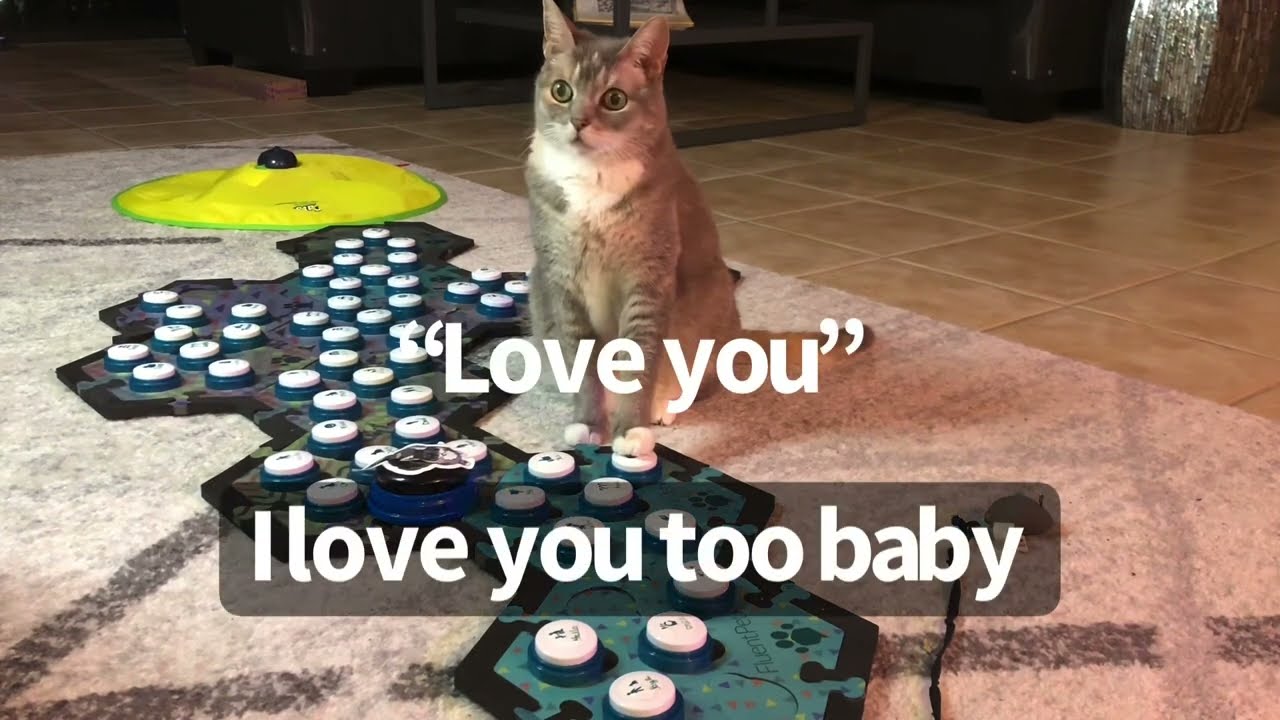 Mom I remembered fan toy! | BilliSpeaks
