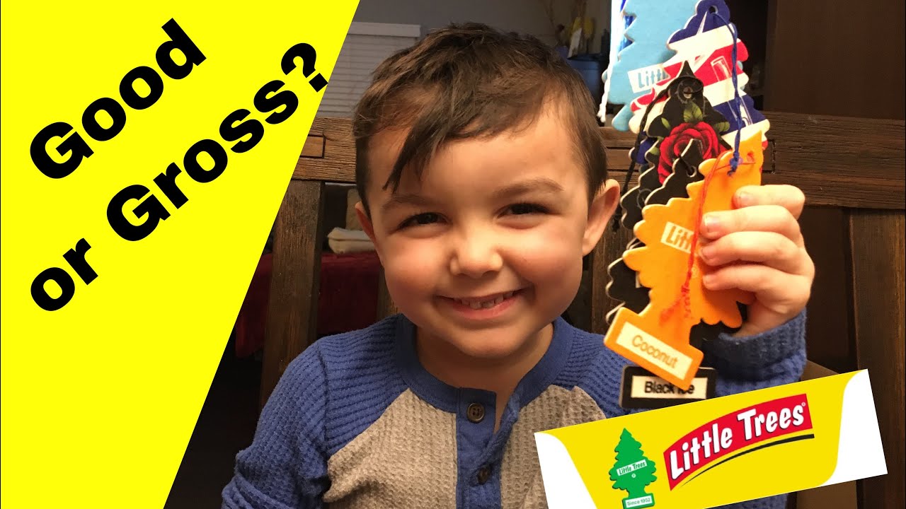 Good or Gross?: I bought all the Little Trees at Target!