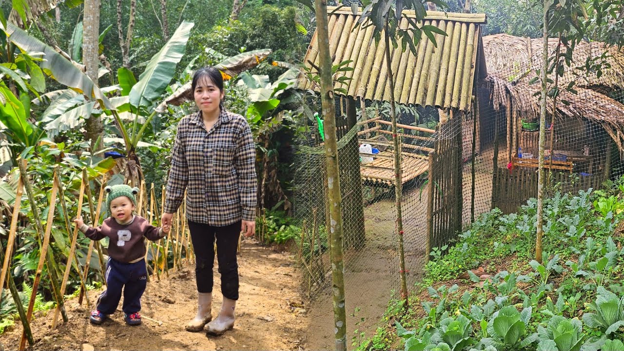 The single mother erected a bamboo fence along the new road leading to her home.