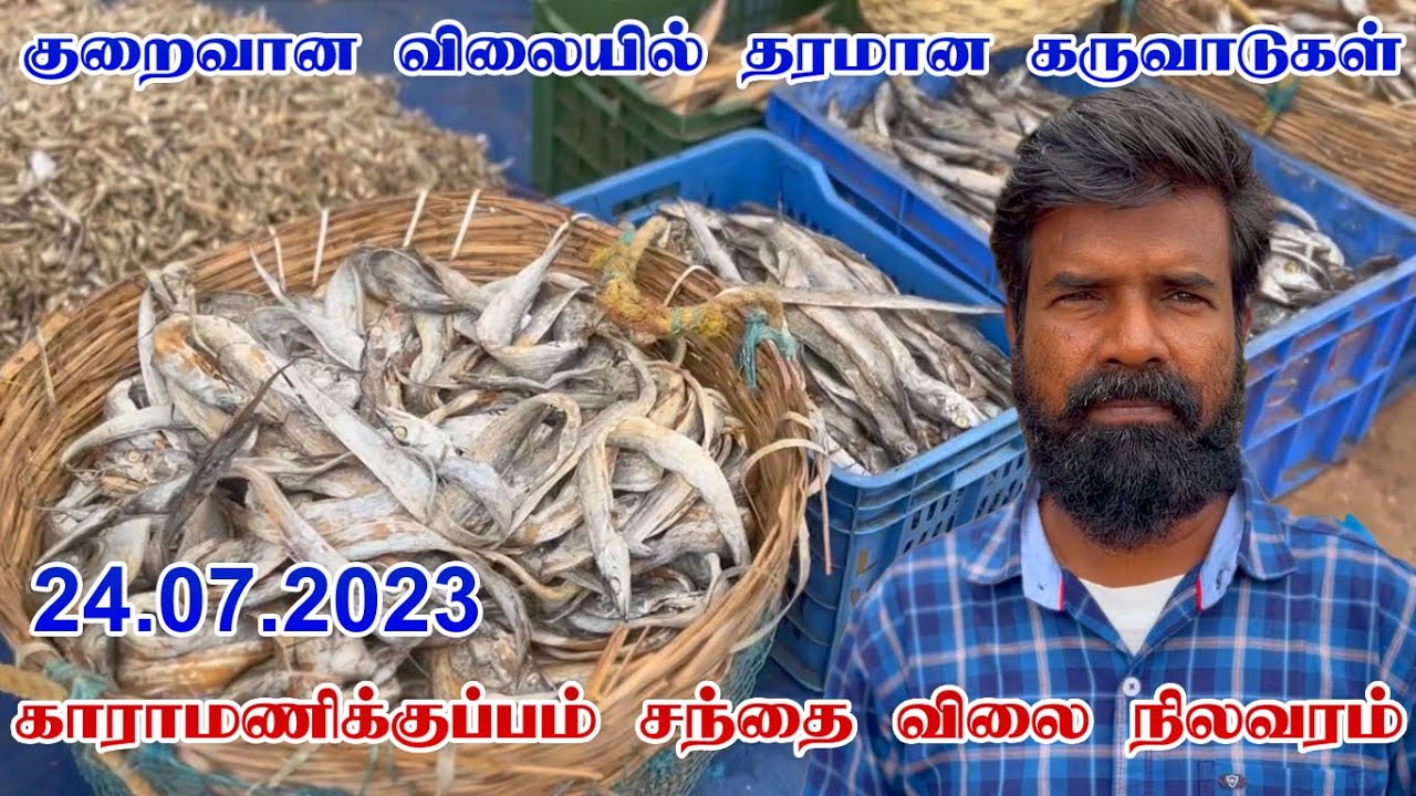 குறைவான விலையில் தரமான கருவாடுகள் | Karamanikuppam Market Status | GUNA NATTUKOZHI PANNAI