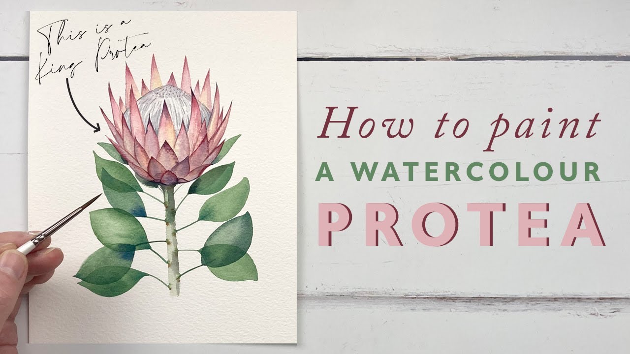 How To Paint A Watercolour Protea