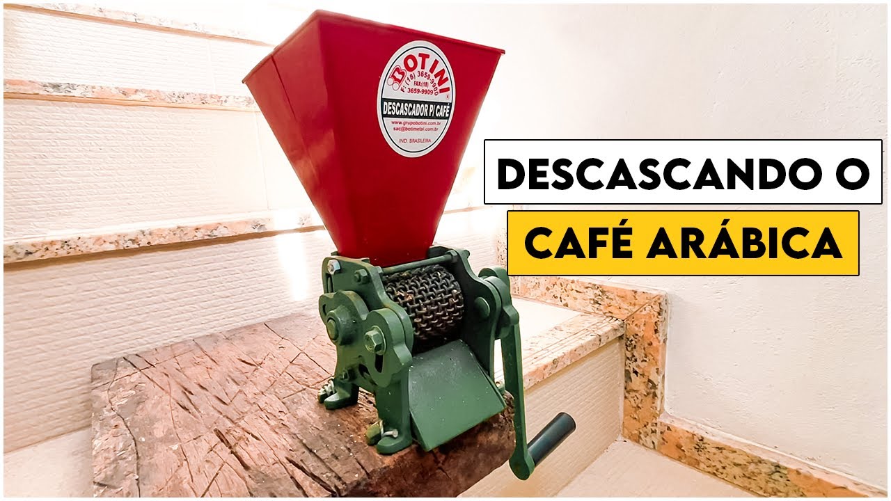 Descascador de Café Botini: Testando no Café Arábica - Dicas e Curiosidades! 🚜 Roça com Carvalho