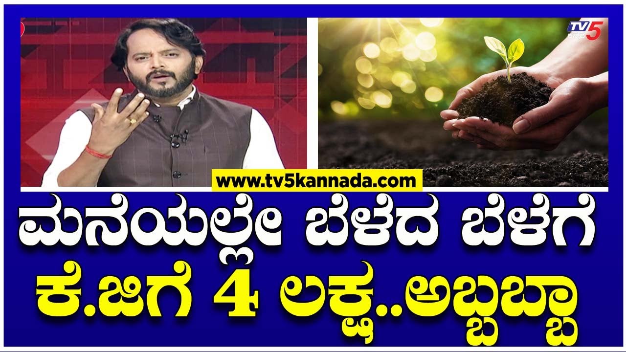 Saffron Farming In Karnataka :ಕರ್ನಾಟಕದಲ್ಲೂ ಬೆಳೆಯಬಹುದು ಕಾಶ್ಮೀರ ಕೇಸರಿ..ಹೇಗೆ ಬೆಳೆಯಬಹುದು? ಪ್ರಯೋಗವೇನು?