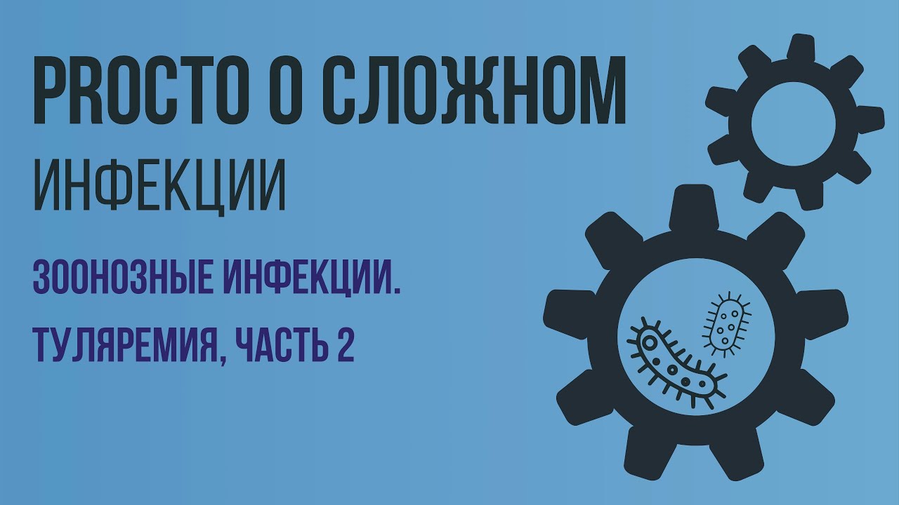 PROСТО О СЛОЖНОМ Туляремия, ч.2, Инфекционные болезни №9