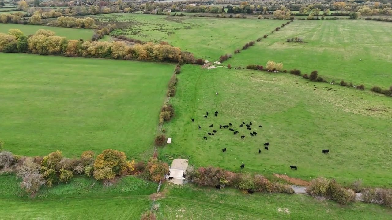 Autumn  colours