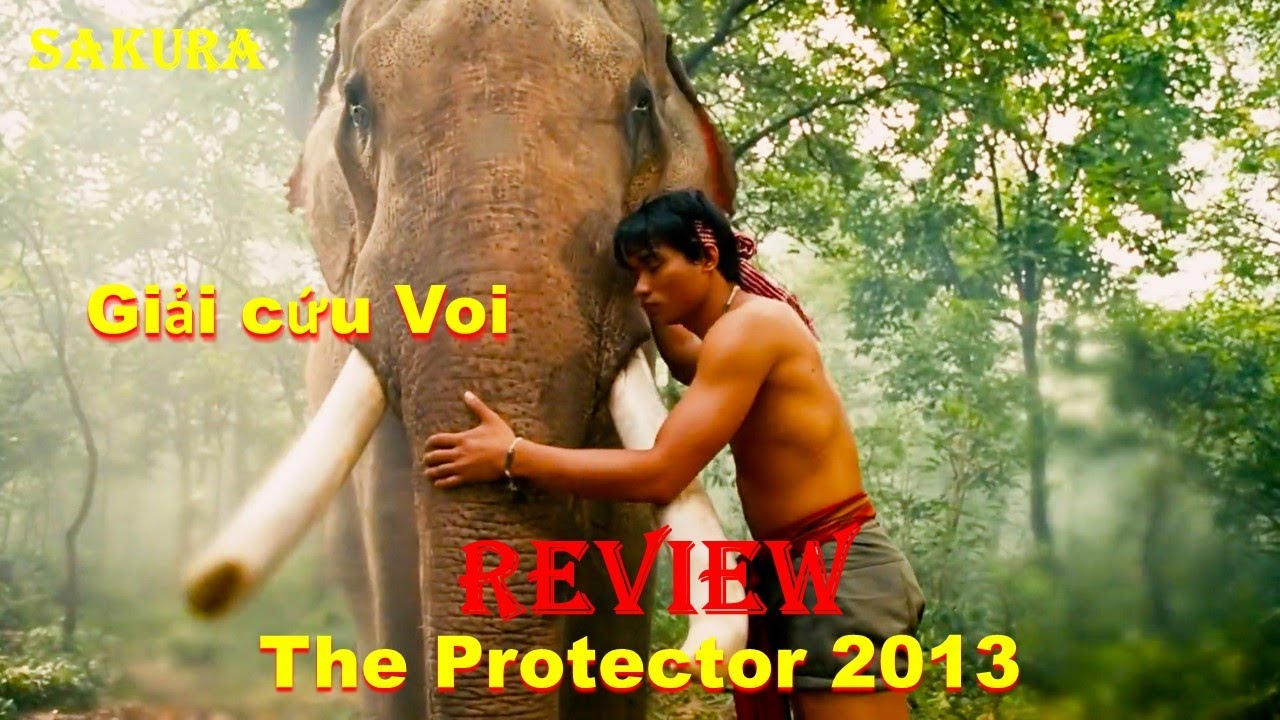 REVIEW PHIM CÁI KẾT ĐẮNG CHO KẺ DÁM ĐỘNG ĐẾN VOI CỦA TONY JAA || SAKURA REVIEW