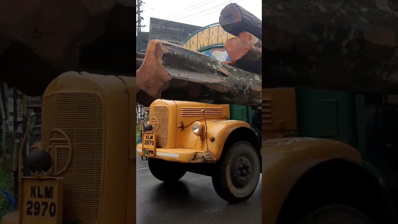 Tata 1210 D .truck.#automobile #ytshorts