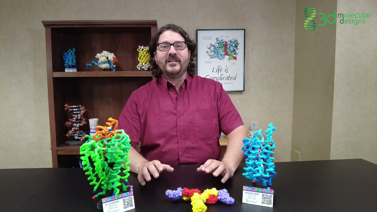 Summer Courses - 3D Printing for the Biosciences Classroom