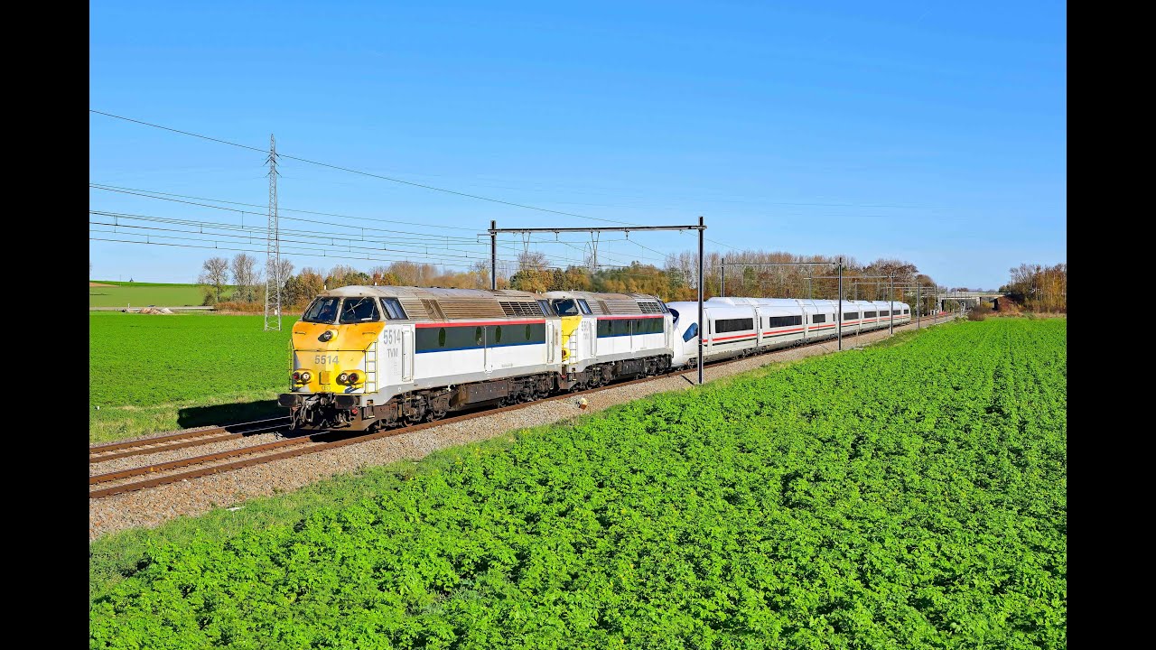 TUC HLD 5514 + 5501 + ENR - EGY Egyptian Railways Velaro 8006 @ Silly