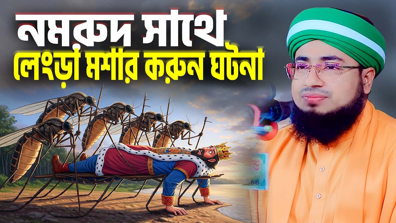 নমরুদ সাথে লেংড়া মশার করুন ঘটনা । mufti jahirul islam foridi । nomrud er kahini