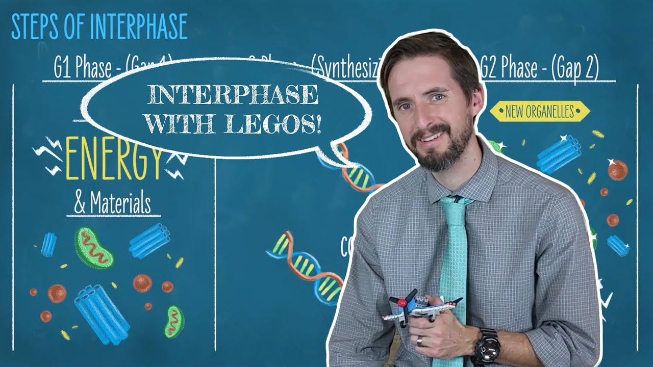 Clint Explains Interphase - Getting Ready To Divide