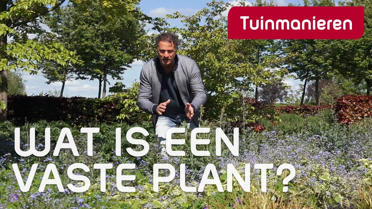 Wat is een vaste plant | Plantenkunde | Tuinmanieren