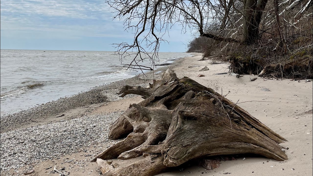 Lake Michigan Rock Hunt | My Best Agate Ever!