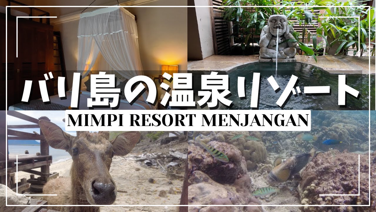 Я остановился в MIMPI RESORT MENJANGAN, частном курорте с горячими источниками на Бали.