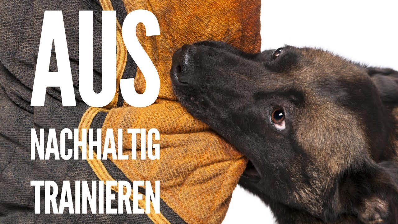 Kommando AUS - So lässt dein Hund sofort los | Hundetraining nachhaltig und ohne Gewalt by Vitomalia
