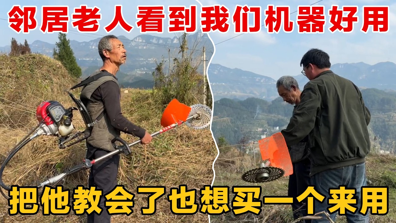 邻居老人看上了我们买的割草机，把他教会了也想买一个用来开荒