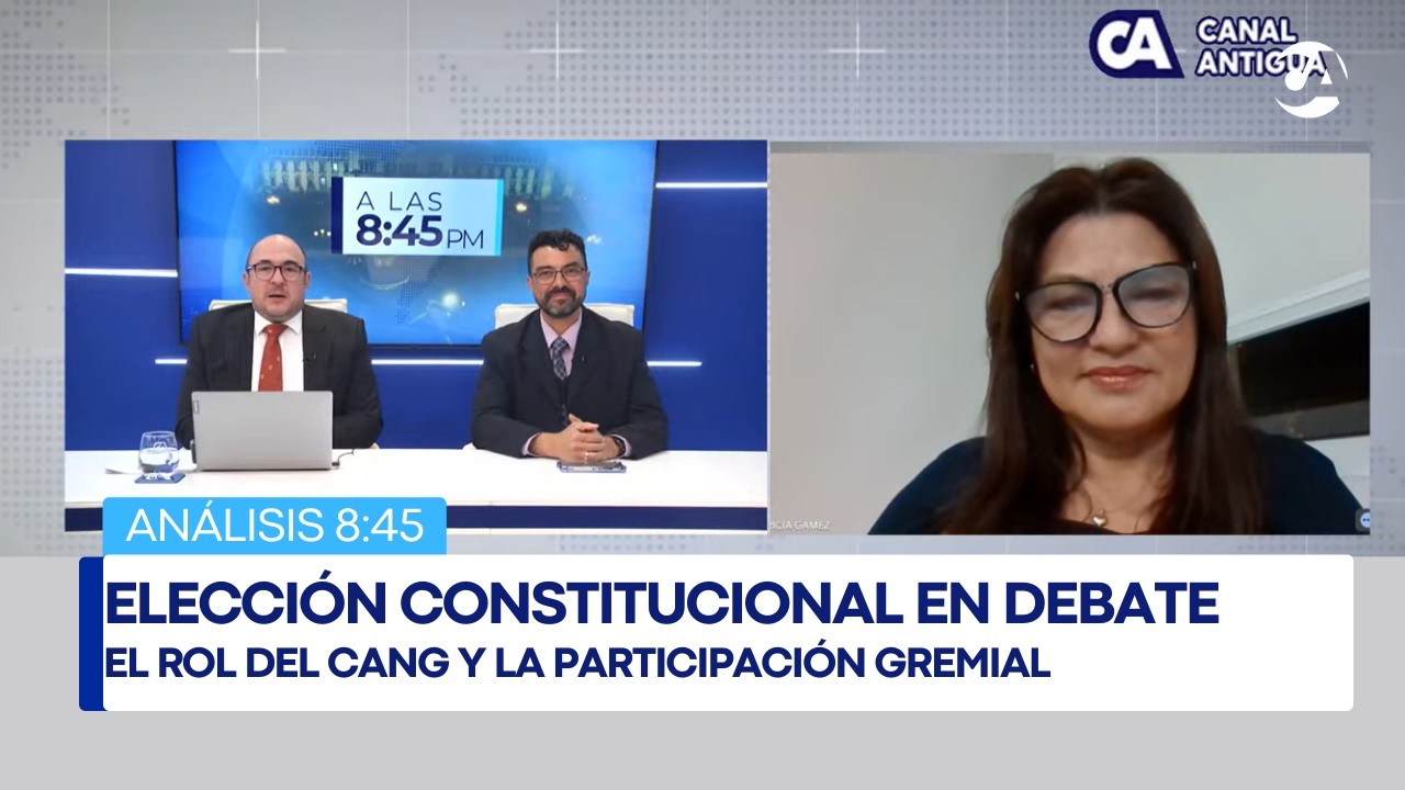 Análisis | Elección constitucional en debate: el rol del CANG y la participación gremial
