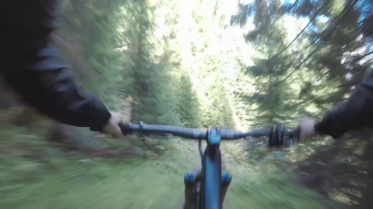 Matzalm Trail in Leogang – Bikeurlaub im Salzburger Land