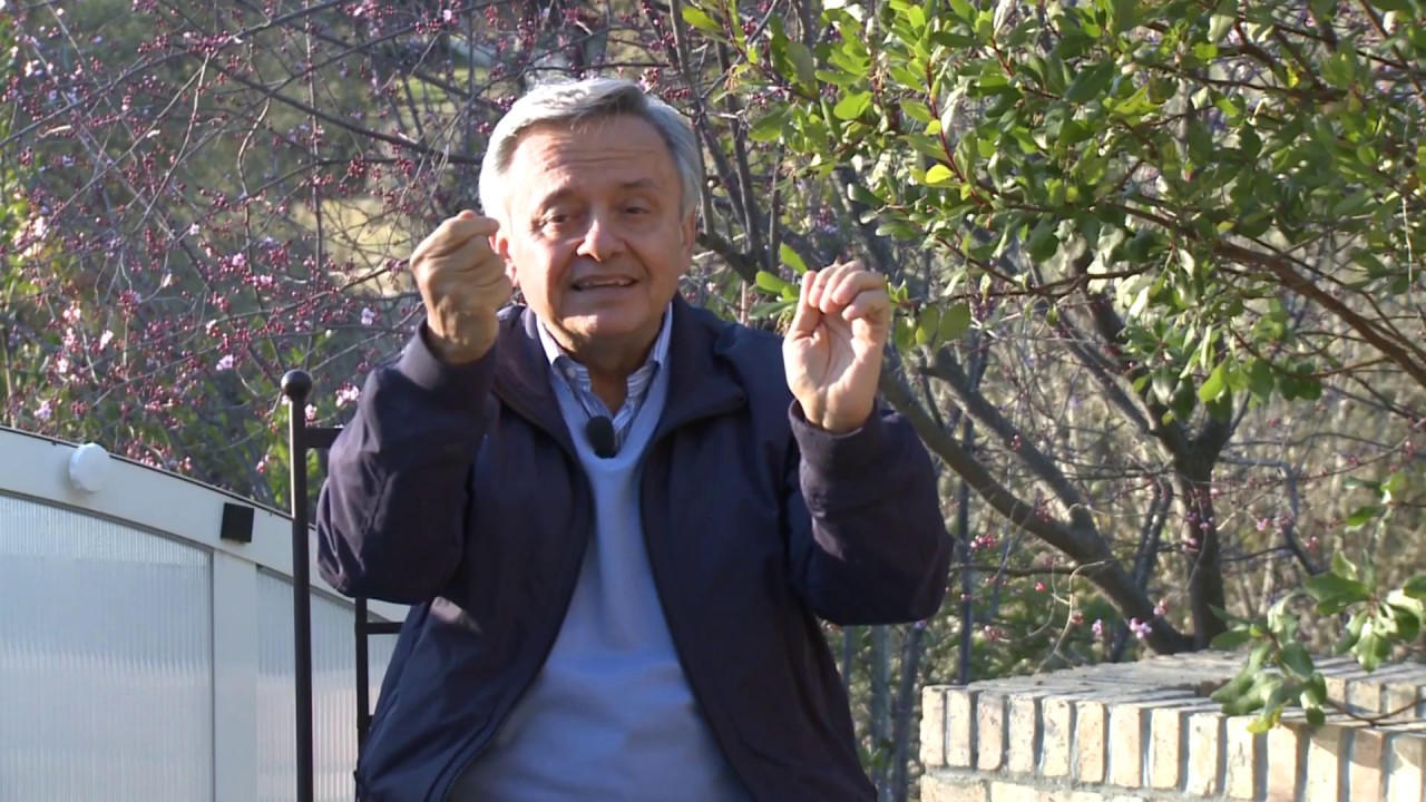 &iquest;QU&Eacute; ES LA SINTERG&Eacute;TICA?
