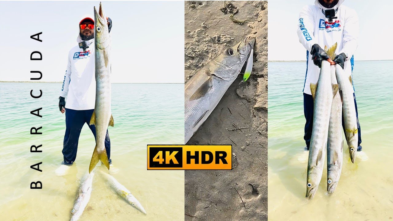 Baracuda Rain @ Hameem | ArchAngler | Abudhabi | UAE