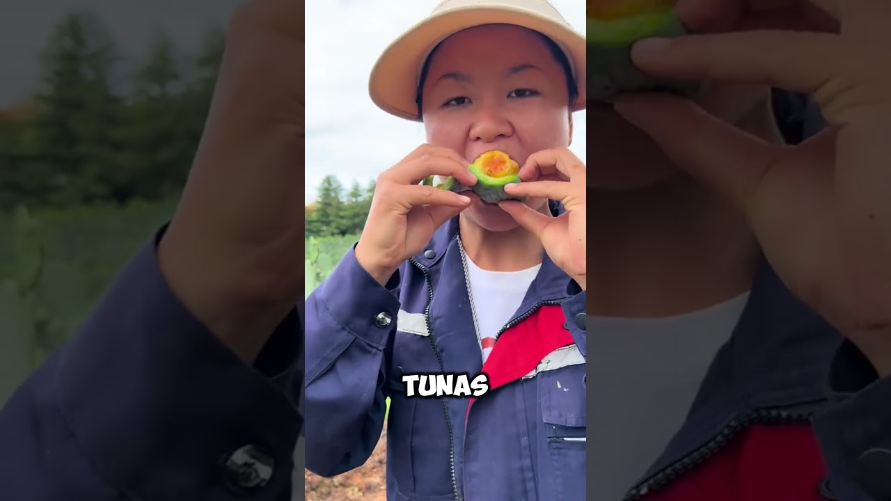 Unikalna uprawa! Opuncje i ich pyszne owoce 🌵🍈#shorts