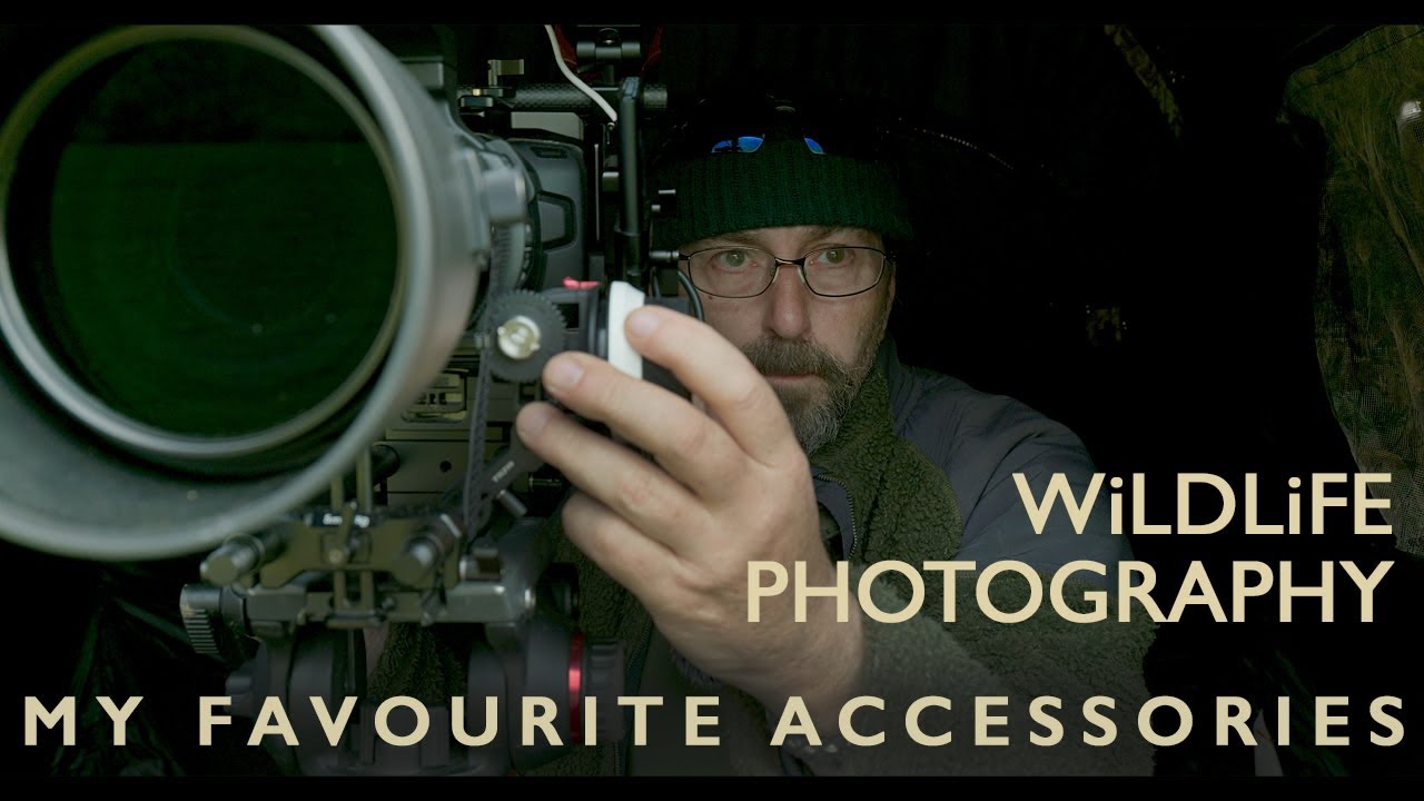 My TOP 6 Favourite Accessories for Wildlife Photography & Film-making in the field