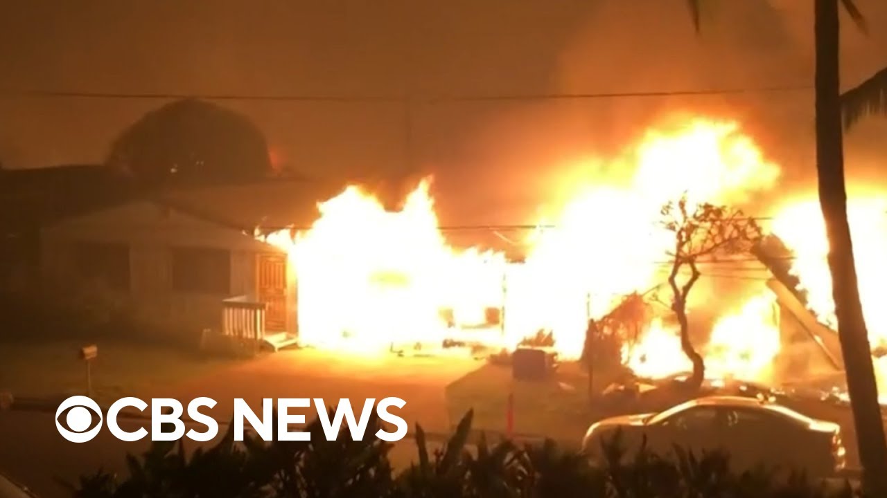 Rescue that never came: Hawaii survivors describe lack of help during and after wildfire