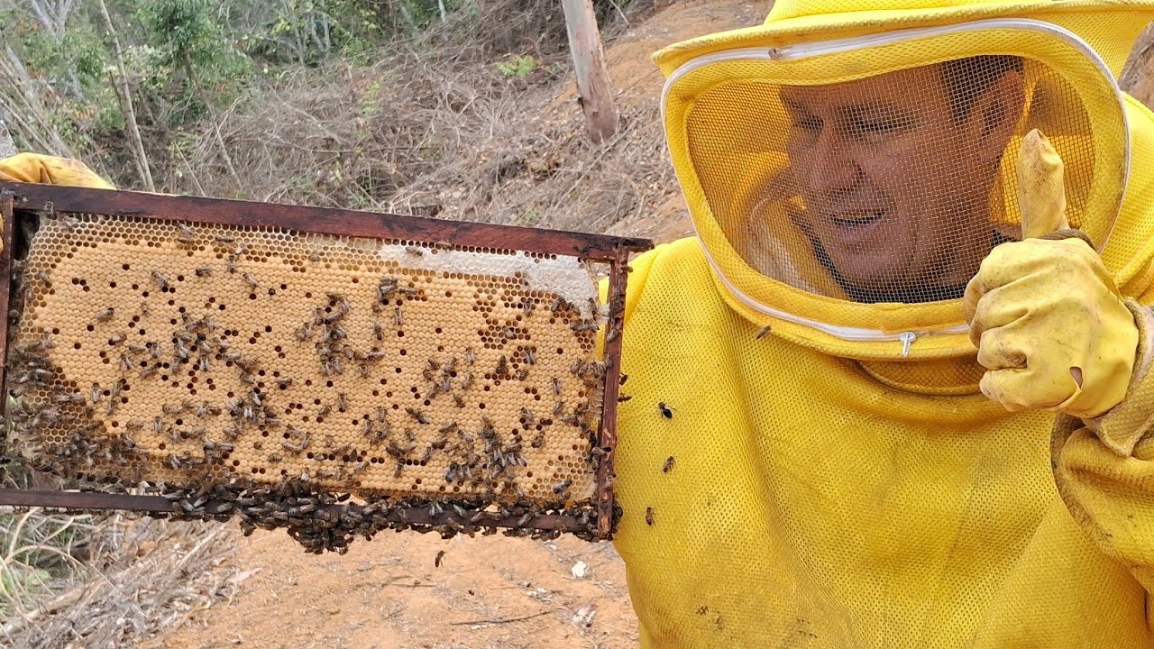 importância da intercalação de quadros