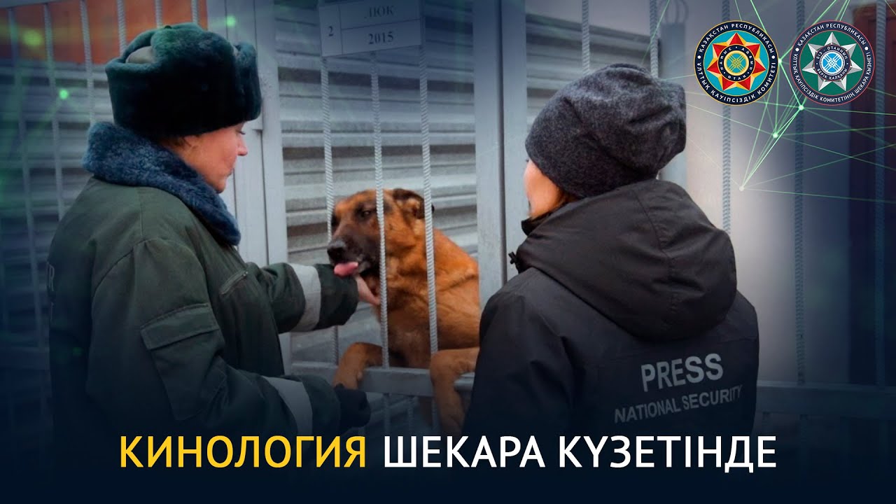 Кинология в охране границы