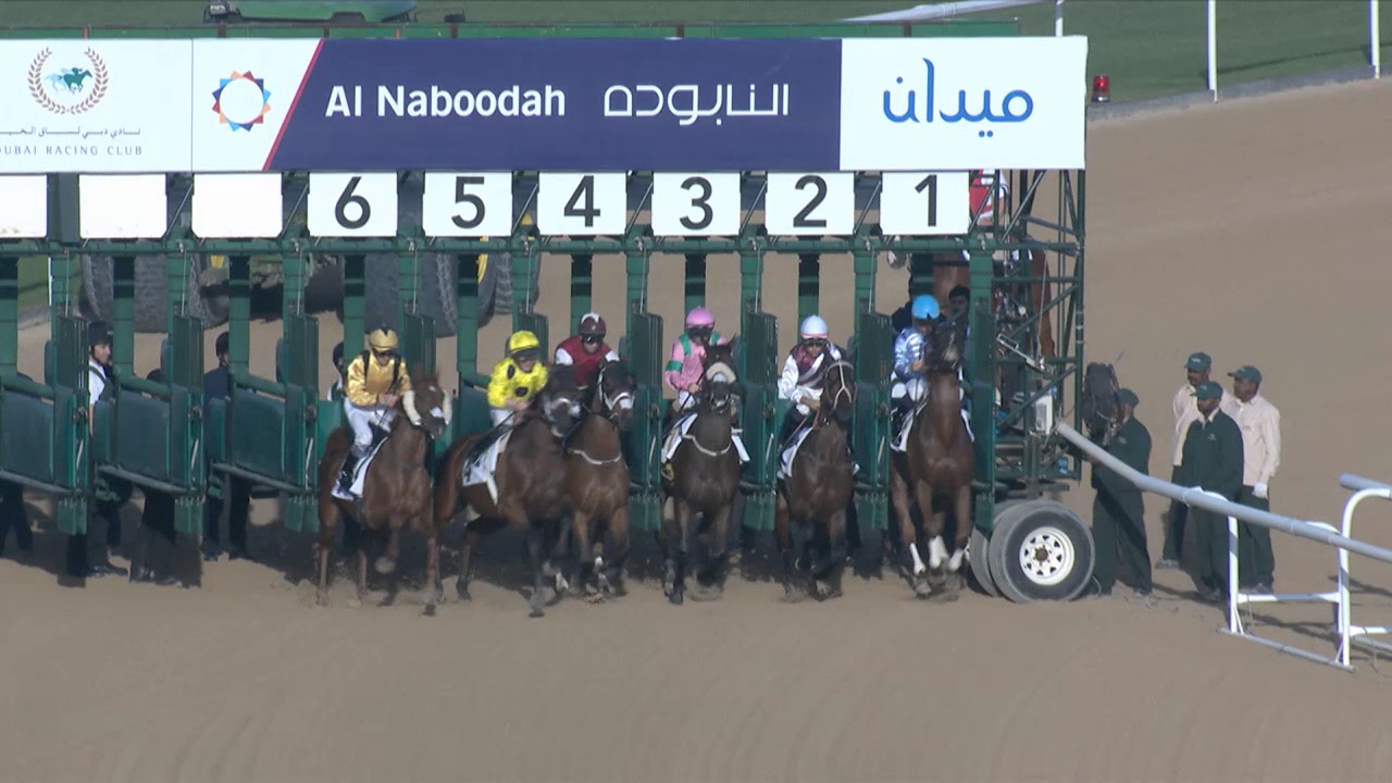 Race 2 Al Naboodah Electricals Trophy