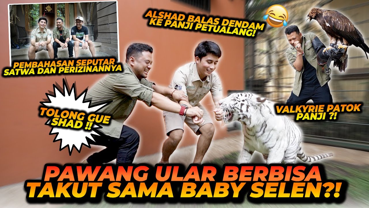 PANJI PETUALANG KETAKUTAN MASUK KANDANG SELEN ! SAMPE HAMPIR DIPATOK SAMA VALKYRIE !