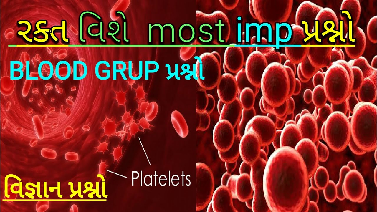 Blood gk science in gujarati || લોહી જનરલ નોલેજ || રક્ત વિશે માહિતી || Blood grup science gk gujarat