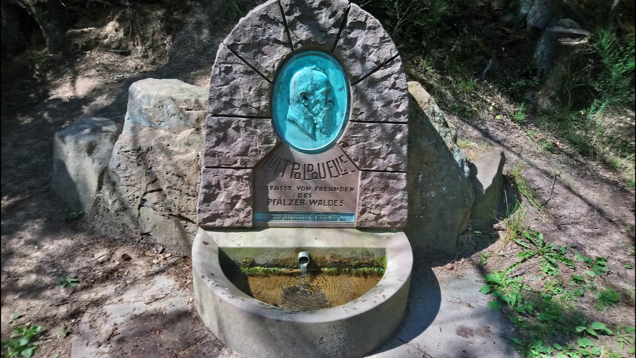 Wanderung Ensheim 04.08.2019