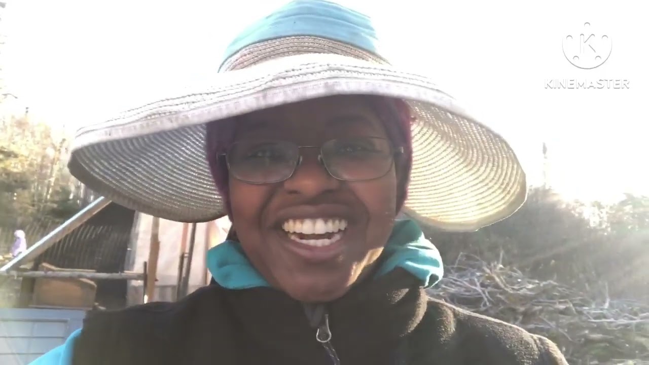 Alaskan homestead update! Winter Garden, pallet fence & our indoor gravity fed waterlines!!!