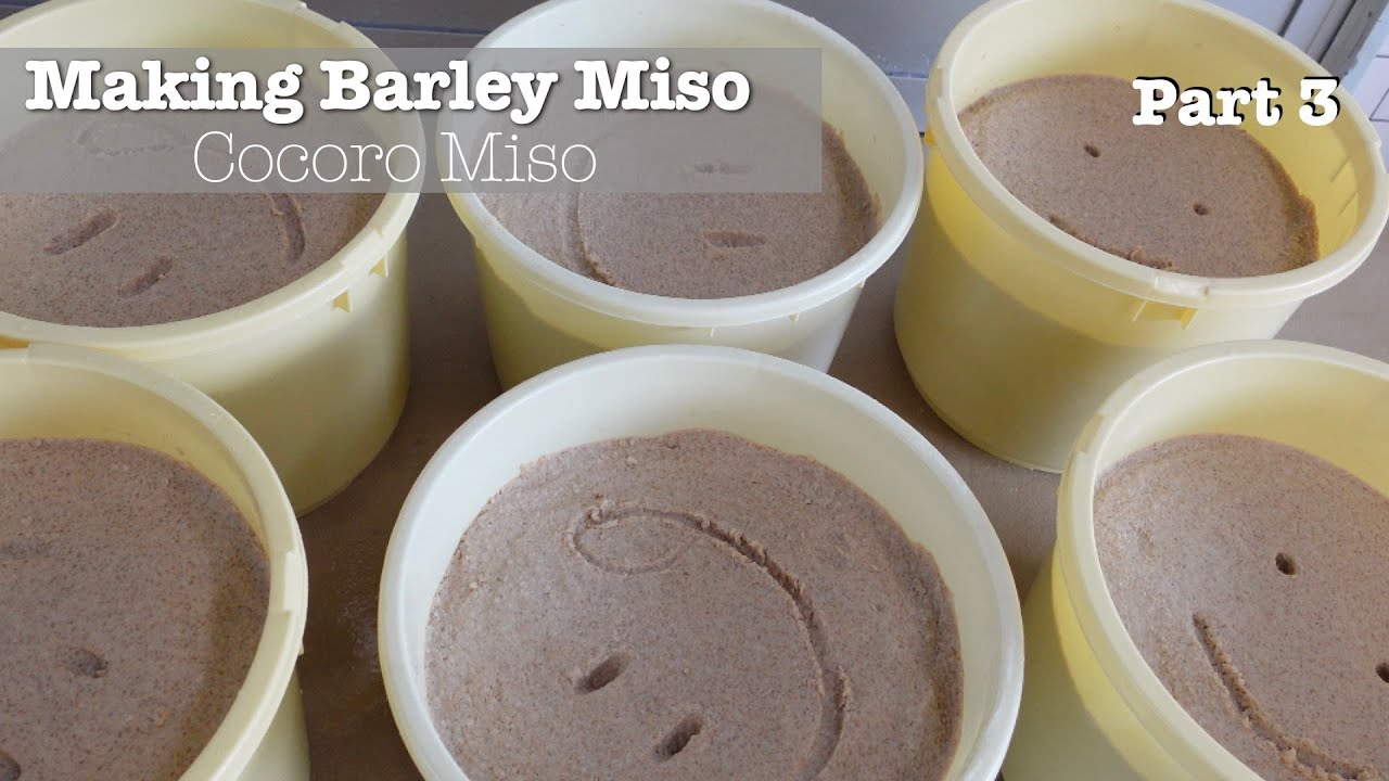 Making Japanese Barley Miso - The Final Mix - in Nagashima, Japan