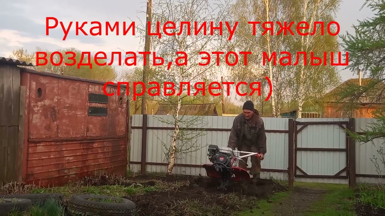Работа в огороде. Разрабатываем целину, посадили ягодники.