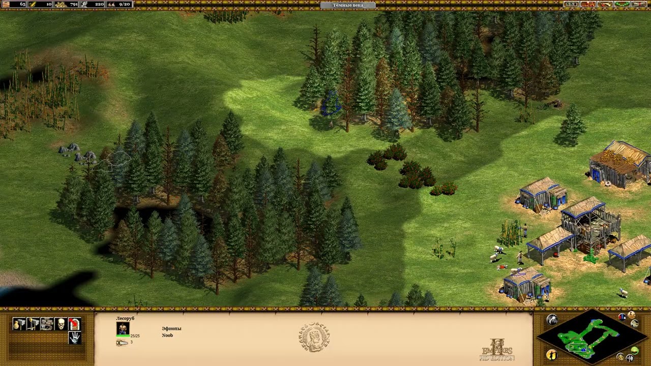 Родион играет в Age of Empires 2 HD