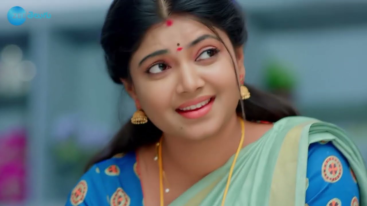 Vaidehi Parinayam - వైదేహి పరిణయం - Telugu Serial - EP - 210 - Karuna Bhushan - Zee Telugu