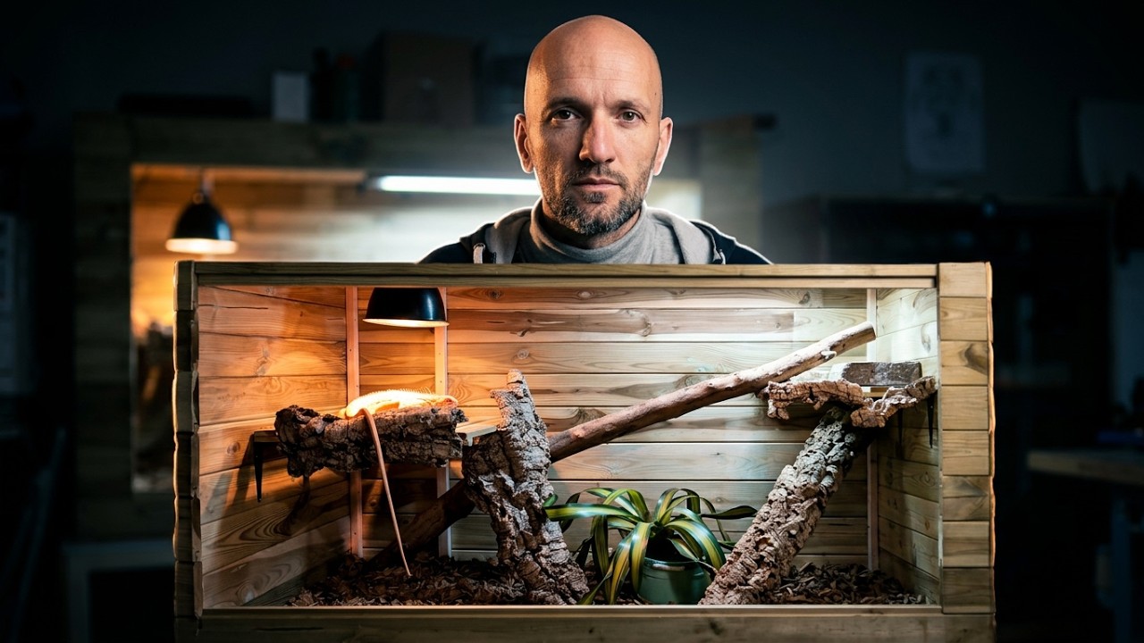 Découvre comment créer un incroyable terrarium en bois