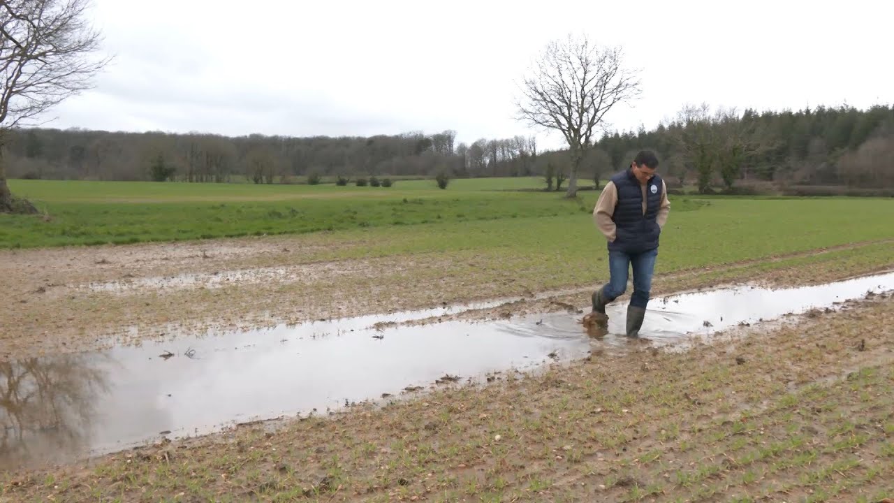 Un drainage dépassé par le trop-plein d'eau : les agriculteurs face aux défis environnementaux