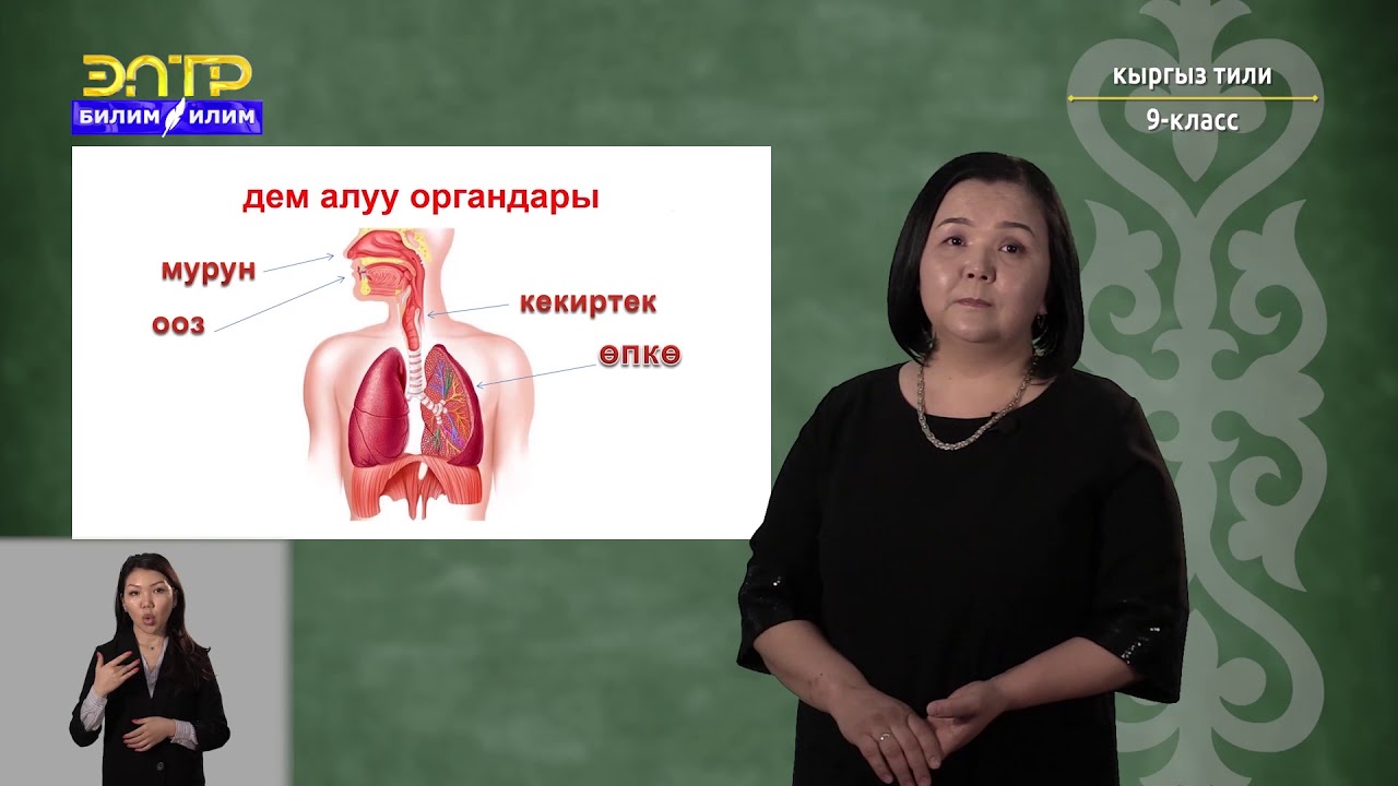 9-класс | Кыргызский язык | Сууга чөккөндөгү көрсөтүлүүчү биринчи жардам