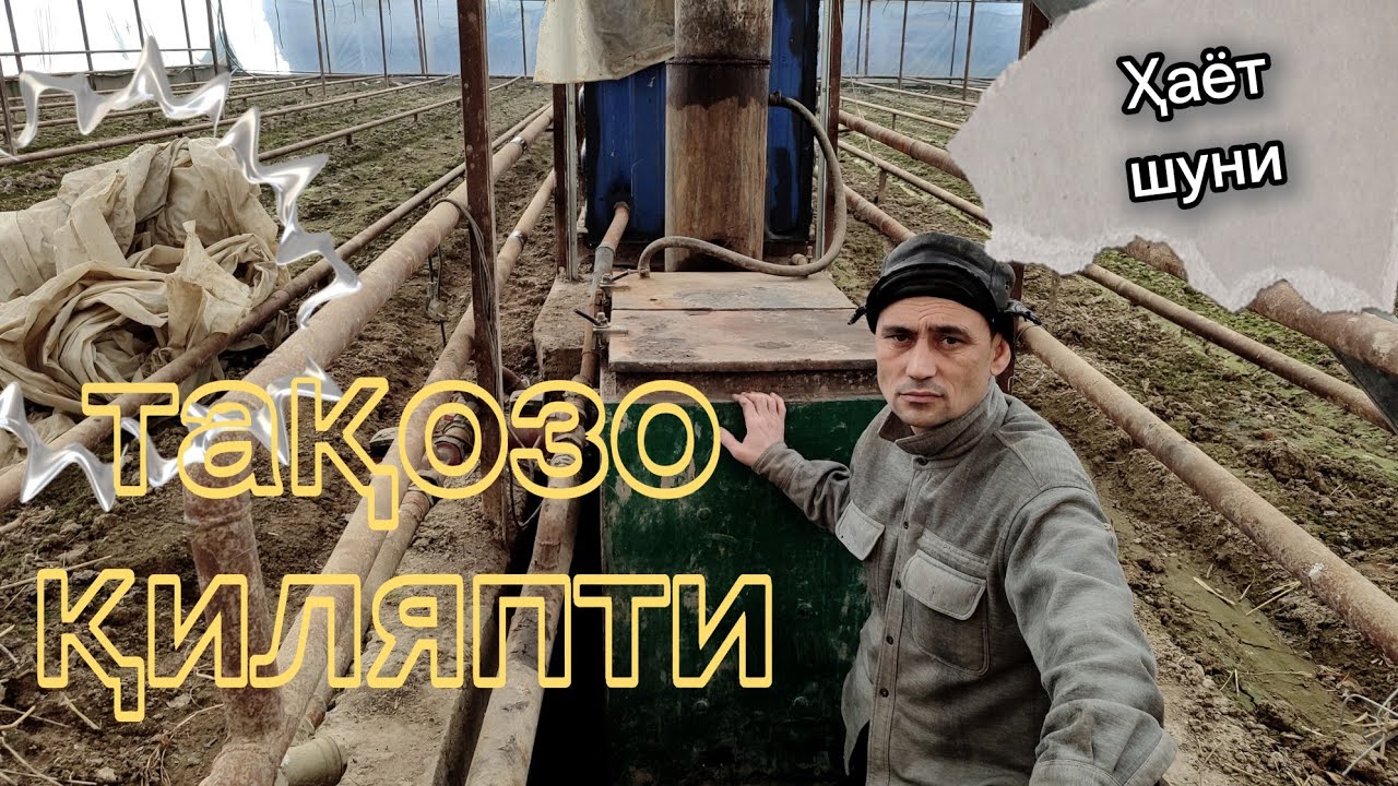 Охири шунга мажбур бўлдик. Катёлни сотяпмиз. Тел.: 943653387